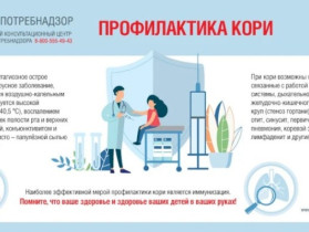 Роспотребнадзор напоминает, что корь – высококонтагиозная (очень заразная), потенциально смертельная инфекция, передающаяся от больного человека к здоровому воздушно-капельным путём..